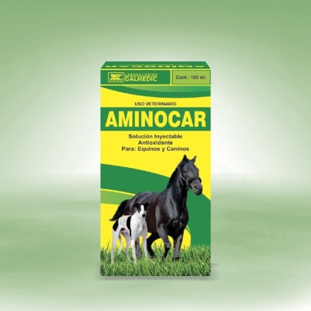 AMINOCAR