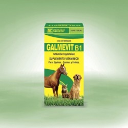 GALMEVIT B1