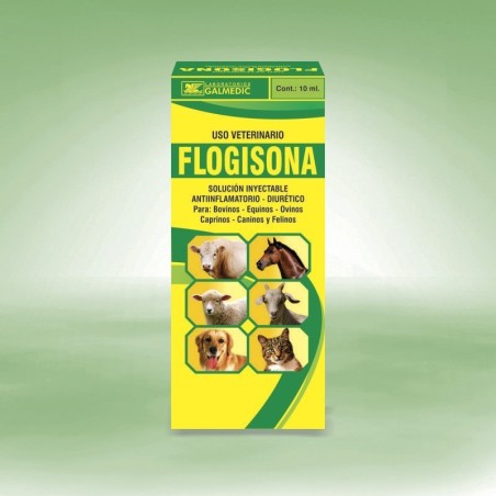 FLOGISONA