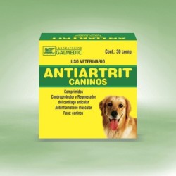ANTIARTRIT CANINOS