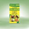 GALARSEN