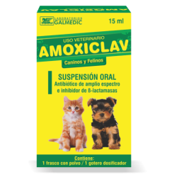 AMOXICLAV