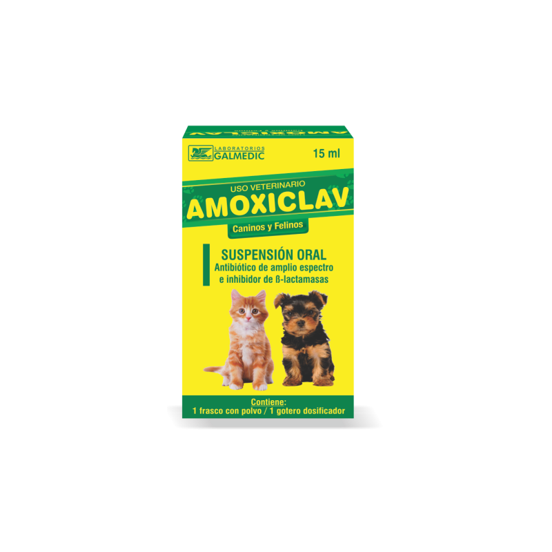 AMOXICLAV