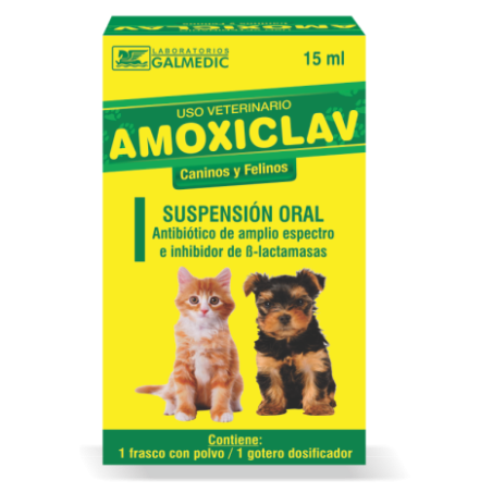 AMOXICLAV