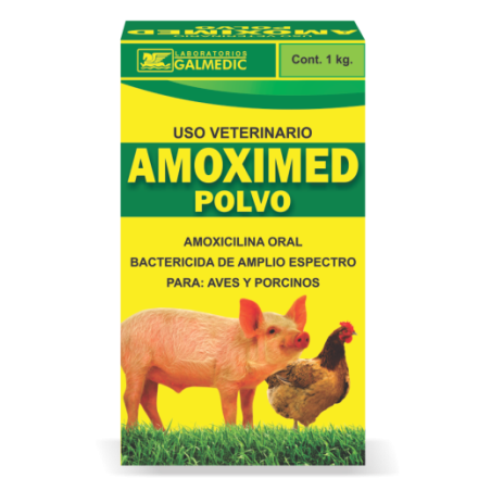 AMOXIMED POLVO