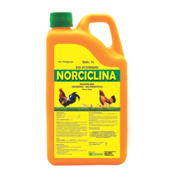 NORCILINA