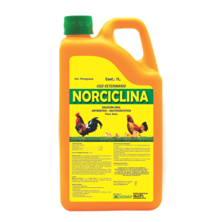 NORCILINA