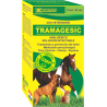 TRAMAGESIC