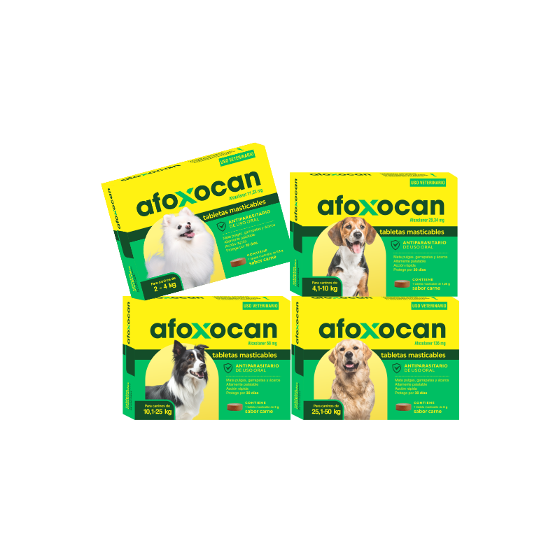 AFOXOCAN