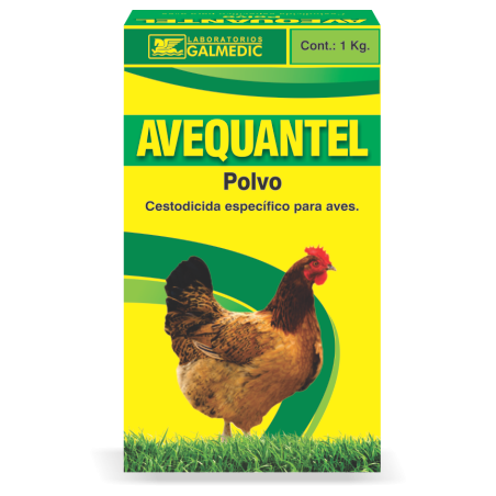 AVEQUANTEL