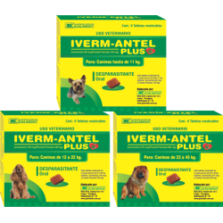IVERM ANTEL PLUS
