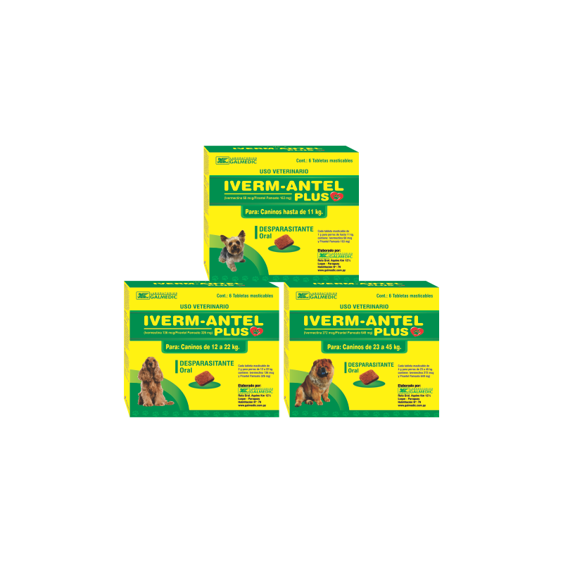 IVERM ANTEL PLUS