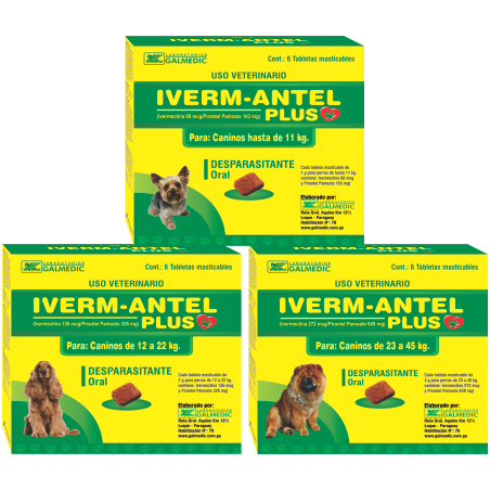 IVERM ANTEL PLUS