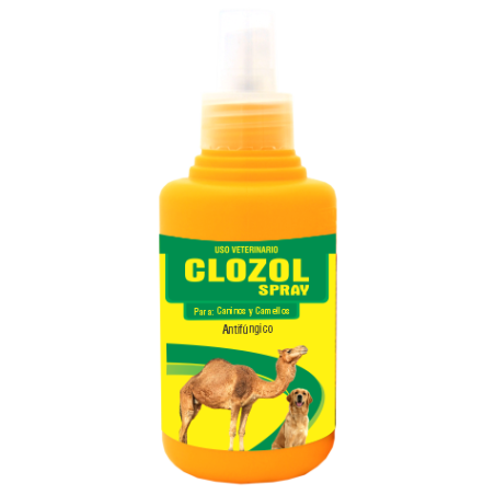 CLOZOL SPRAY