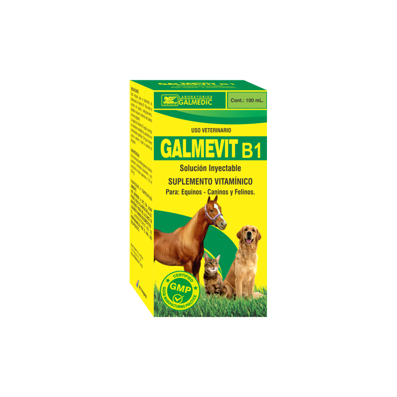 GALMEVIT B1