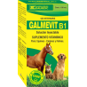 GALMEVIT B1