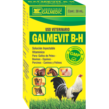 GALMEVIT B-H