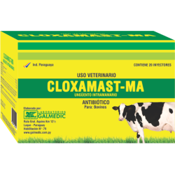 CLOXAMAST - MA UNGÜENTO INTRAMAMARIO