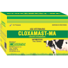 CLOXAMAST - MA UNGÜENTO INTRAMAMARIO