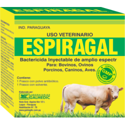 ESPIRAGAL