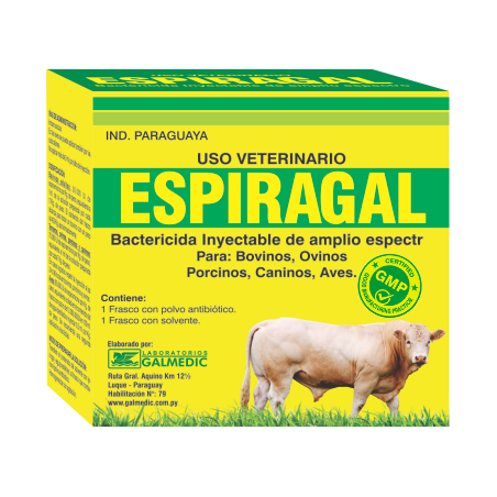 ESPIRAGAL