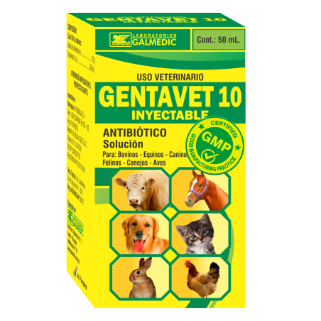 GENTAVET 10 % INYECTABLE
