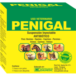 PENIGAL