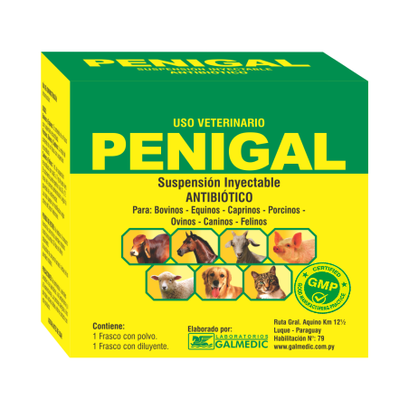 PENIGAL