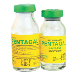PENTAGAL 2.400.000