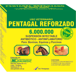 PENTAGAL REFORZADO 6.000.000