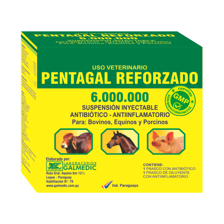 PENTAGAL REFORZADO 6.000.000