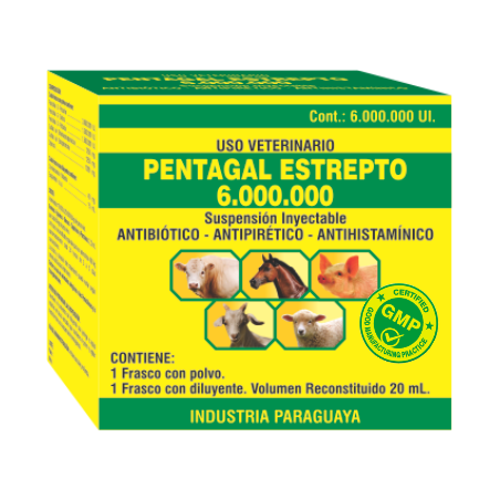 PENTAGAL ESTREPTO 6.000.000