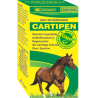 CARTIPEN