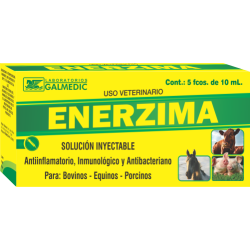 ENERZIMA