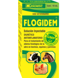 FLOGIDEM