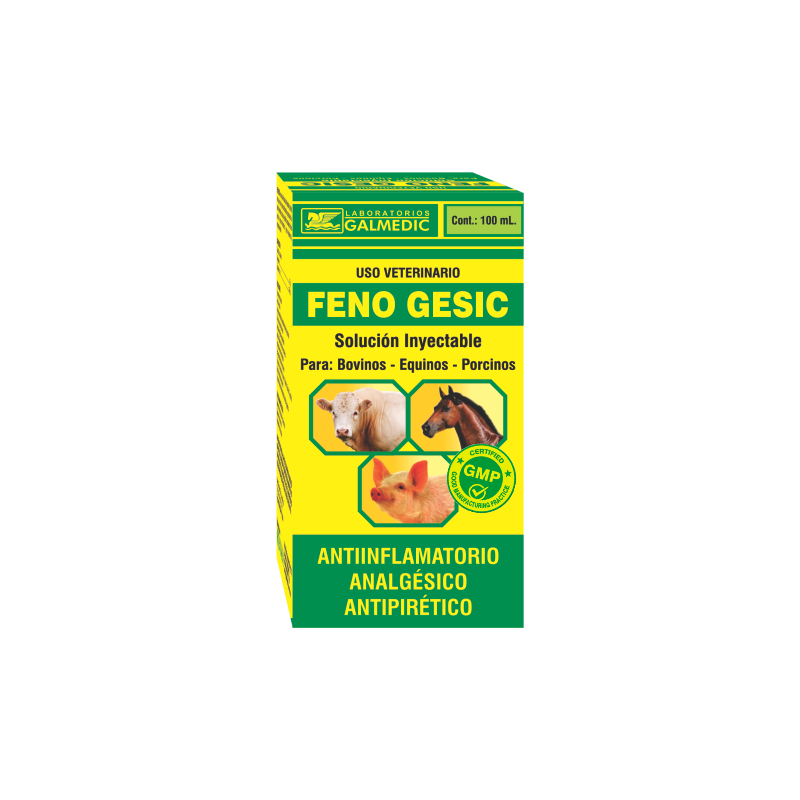 FENO GESIC