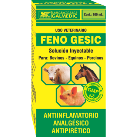 FENO GESIC