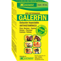 GALERFIN