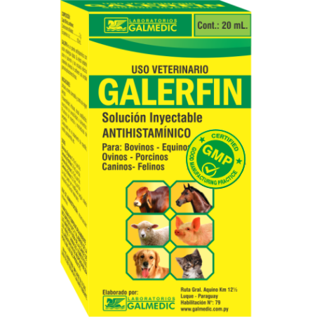 GALERFIN