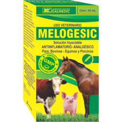 MELOGESIC