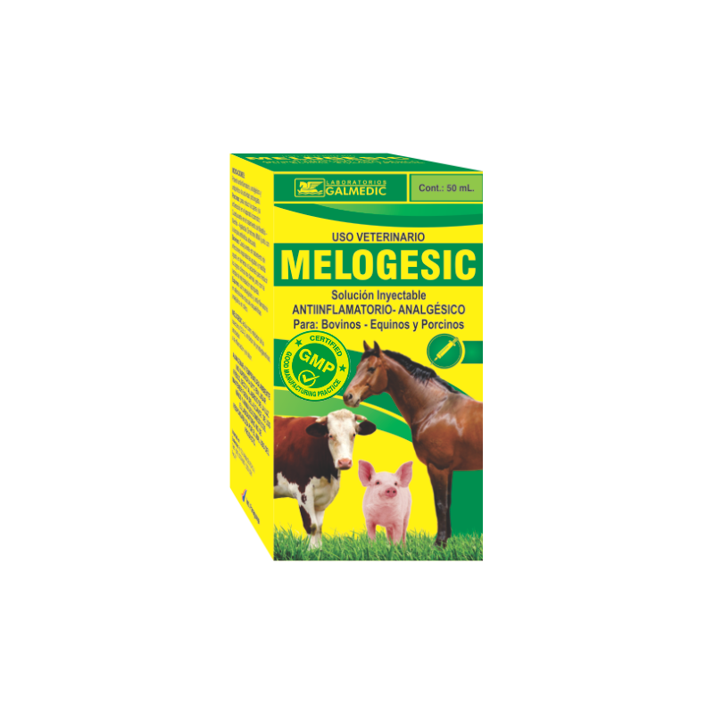MELOGESIC