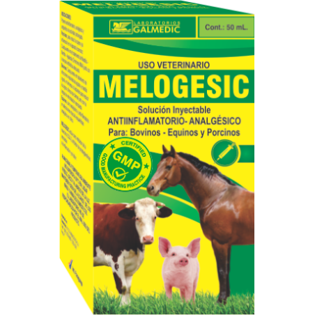 MELOGESIC