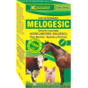 MELOGESIC