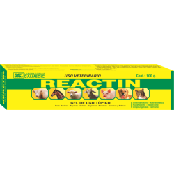 REACTIN