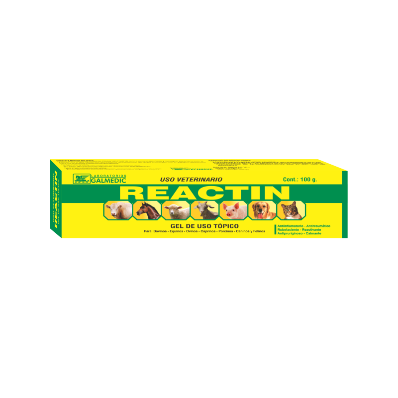 REACTIN