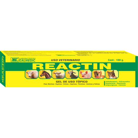 REACTIN