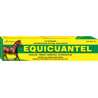 EQUICUANTEL