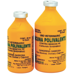 VACUNA POLIVALENTE MANCHA PE