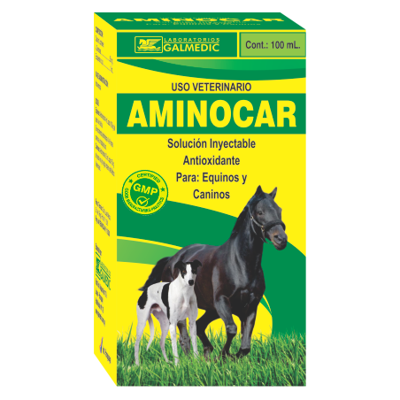 AMINOCAR