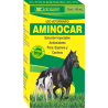 AMINOCAR